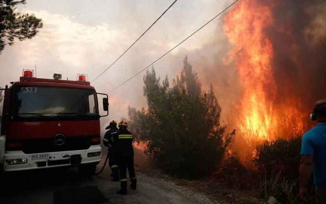 Χανιά: Φωτιά σε δασική περιοχή στον Αποκόρωνα